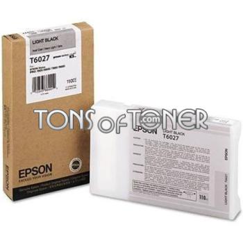 Epson T602700 Genuine Light Black Ink Cartridge

